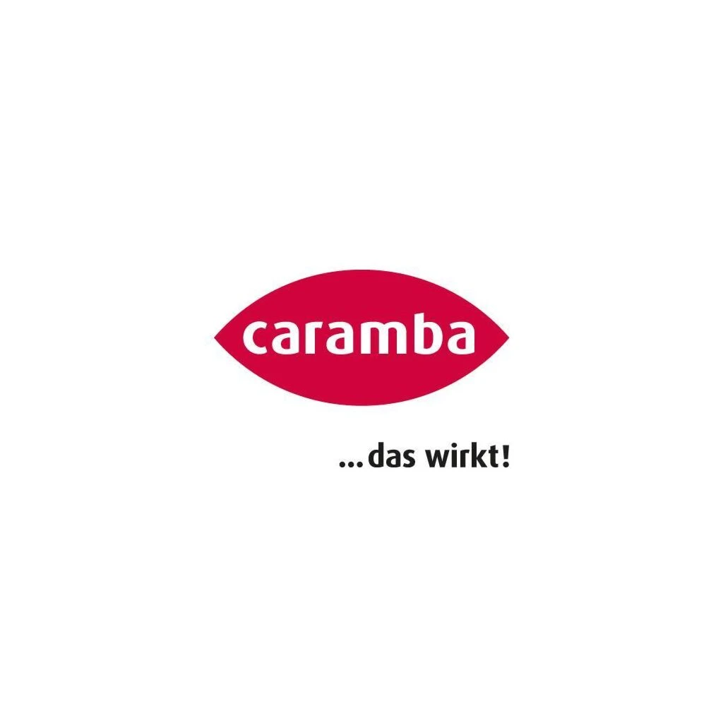 CARAMBA Zink-Spray Mattgrau 500ml 4 CARAMBA Zink-Spray Mattgrau 500ml – Bild 2